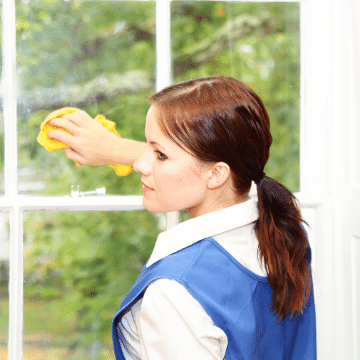 big city window cleaners big city window cleaners